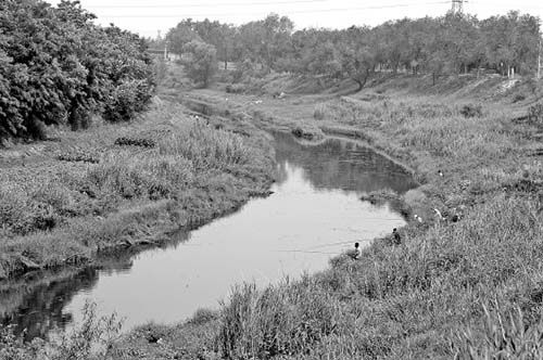 大运河德州段。　本报记者　马金勇　摄