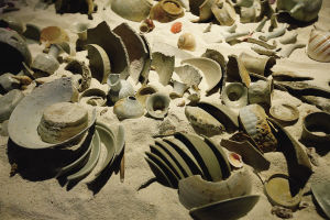 西沙群岛华光礁1号南宋沉船遗址发掘项目，共出水1.1万件南宋瓷器，但多为碎片。 本报记者 宋国强 摄
