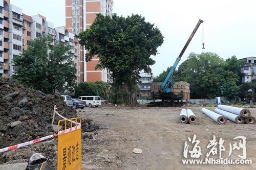 罗城遗址内的工地，泥土堆成小山，打桩机已安装好