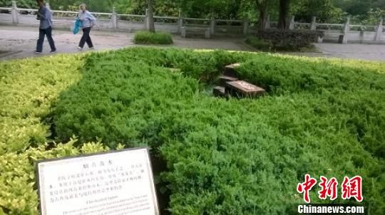 被偷的“螭首散水”上面没有任何石雕只剩金属底座　唐韵　摄