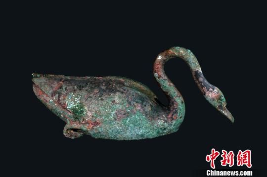 图为青铜天鹅。　秦始皇帝陵博物院　摄
