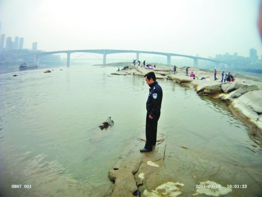 民警及时赶到，让这段乌木免遭刀斧之灾。重庆水警供图