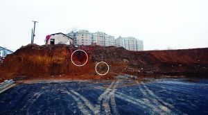 现场古墓只剩一面墓壁（圈中所示）现代快报记者 马晶晶 摄