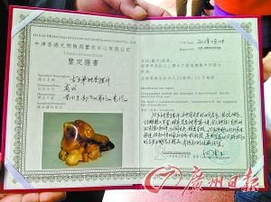 广州市古今通宝展览有限公司吸引了许多人围观。