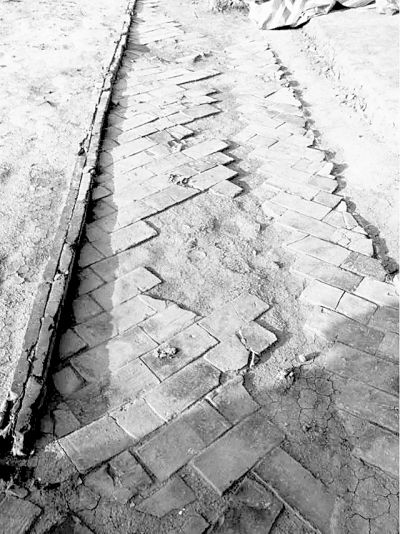 考古现场有青砖铺成的路，在唐朝，能用上砖的建筑，规格都比较高。 本报通讯员 韩灵丽摄