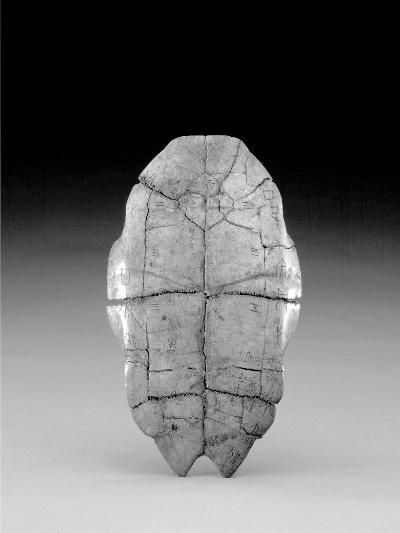 故宫博物院藏的甲骨及拓片