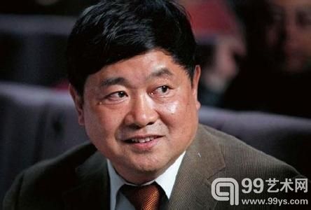 全国政协委员、故宫博物院院长单霁翔