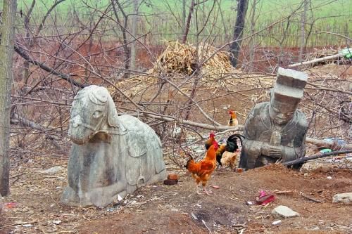 一对石马现在仅剩孤零零的一个