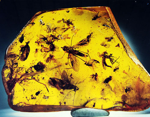 立陶宛所处的波罗的海沿岸是世界琥珀的主产地，这里的琥珀品质上乘，被称为“波罗的海黄金”。有数据表明，波罗的海地区琥珀的产量占全世界琥珀总产量的80%。