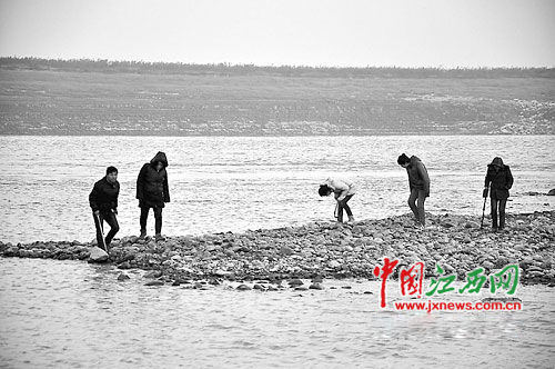 14日下午，在“珍禽候鸟王国”永修县吴城镇，十几个人手持金属探测器，在干涸的赣江河滩上仔细探寻