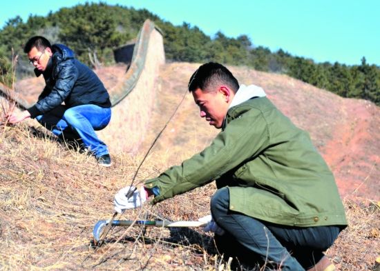 图为市双桥区狮子沟镇工作人员正在隔离带进行收尾清理。承德政府网记者李国强 通讯员 李燕 李萌 摄