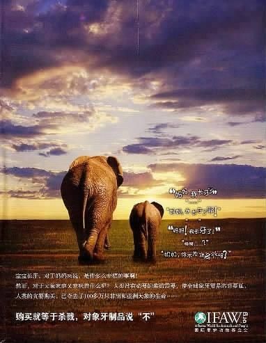 　北京市潘家园文玩市场一角 　张哲 摄影