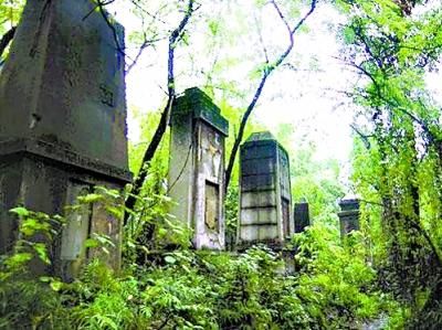 墓群藏身灌木丛(资料图片)