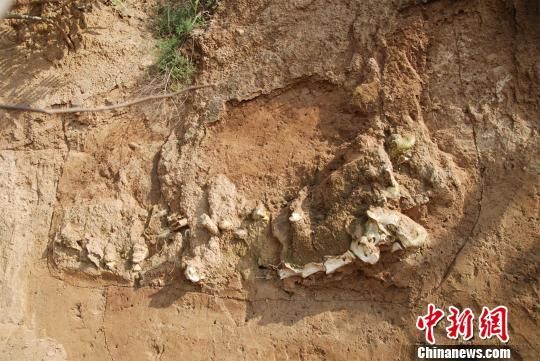 马坑 陕西考古研究院 摄