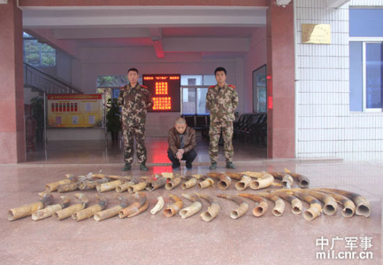 查获的35根走私象牙