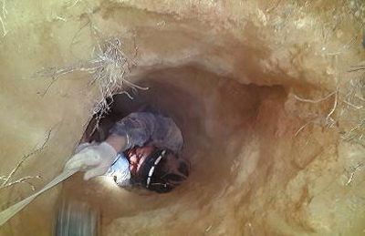 1月4日凌晨，一名盗墓者正在向盗洞外爬出警方供图 