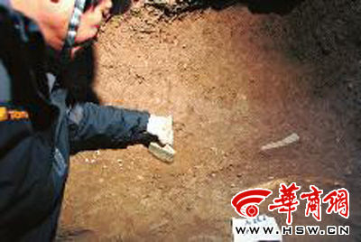 昨日，考古人员在K7号壁龛内发现数量不少的贝币以及一些动物骨骸和一块长方形石器