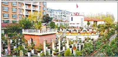 刘光嘉私人奇石盆景博物馆强拆前