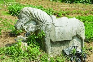 今年9月被盗的尹西村明代石马。金陵晚报记者 于峰 摄