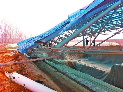 拱棚被办事处强拆，发掘出的古河堤处境堪忧。