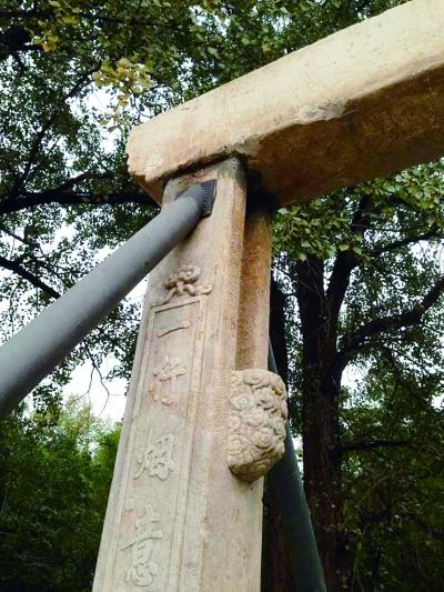 摄 法制晚报记者 巴芮