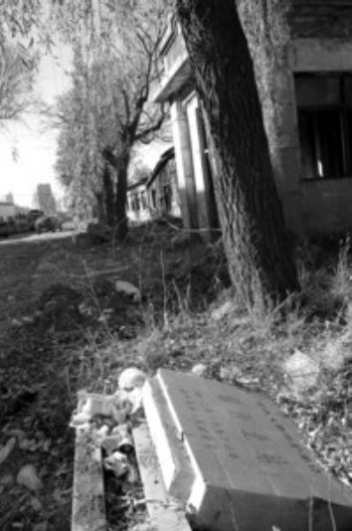 文物锦西北站石碑躺垃圾堆。北国网、辽沈晚报记者胡清摄