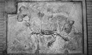 “昭陵六骏”两件中的另一件“拳毛騧”。 资料图