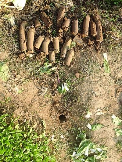 地面满布“洛阳铲”钻洞