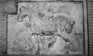 “昭陵六骏”两件中的另一件“拳毛騧”。 资料图