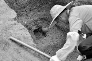 今年6月，萝岗区来峰岗遗址考古发掘现场遭到破坏。信息时报记者 徐敏 摄（资料图片） 