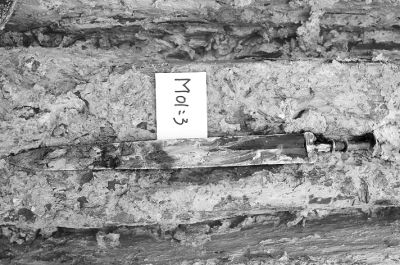 一号墓出土的青铜剑 本报记者 龙军摄