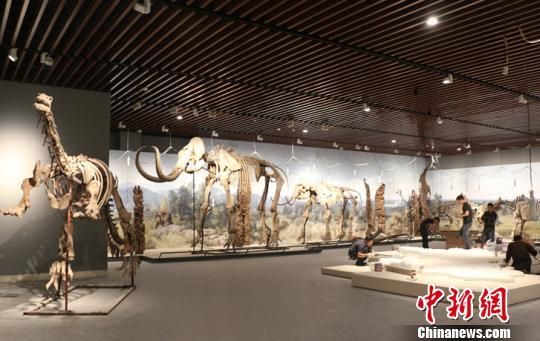 博物院里即将完工的远古印象展厅 丁智远 摄