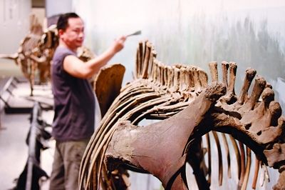 工作人员正在布展。 张可 摄