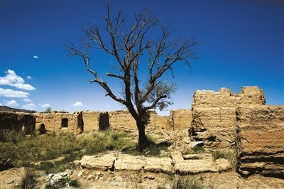 甘肃古浪县直滩乡大岭村，村民搬走后，废墟中的土墙完全暴露，很快风化。院子里的树木也完全枯死。