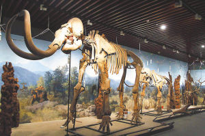 图为布展中的南博。本报记者 金 琎摄 