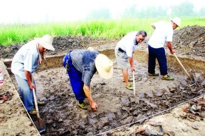 考古人员对鲁家湾遗址进行抢救性发掘。特派记者李子云 摄