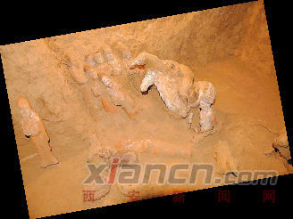 壁龛清理后，陶俑清晰可见省考古研究院供图