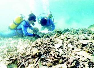 图①:工作人员正在进行水下作业，身旁的水下文物均已遭破坏。