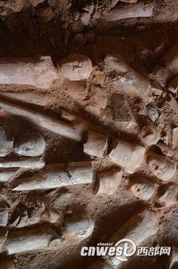 　陪葬坑出土的裸体陶俑和汉阳陵出土陶俑质地一样。