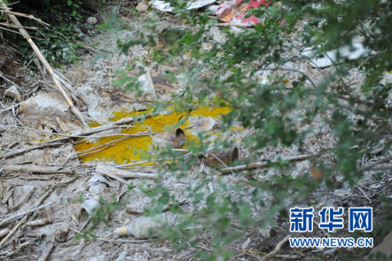 阜新蒙古族自治县那力闪村的一条河道里还残留着当地加工厂倾倒的染色用料（6月24日摄）。新华社记者潘昱龙摄