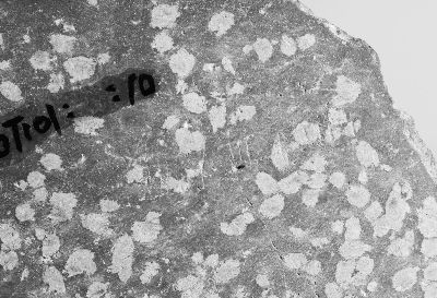 浙江发现中国最早原始文字