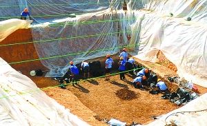 这是7月3日拍摄的挖掘现场。 新华社记者 肖艺九摄