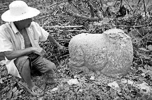 后李村业余文保队员、今年65岁的李连堂在上世纪平整土地时候，从地里挖出一个石羊残身，至今仍放在自家门外。