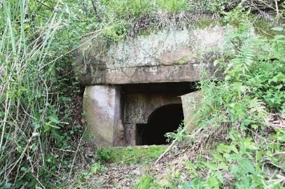 内江东兴区惊现宋代古墓洞口(外)。兰自涛摄