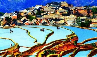 图为哈尼族群众在梯田中劳作的场景。新华社发