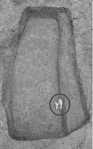 古墓在被破坏前，隐约可见的文物是夹砂陶釜