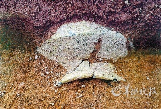 发掘现场发现的先秦遗迹 羊城晚报记者 郑迅 摄