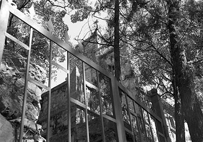 昨日，贝家花园的老屋掩映在古树之中。袁子勇 摄