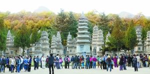 图为游客在少林寺塔林景区参观（2012年10月31日摄）。新华社发