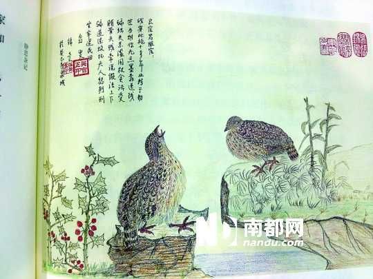 吴官正铅笔画《良官赋》 南都记者葛倩翻拍